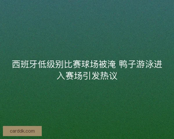 西班牙低级别比赛球场被淹 鸭子游泳进入赛场引发热议